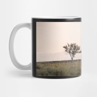 Autumn tree in the sunset Mug